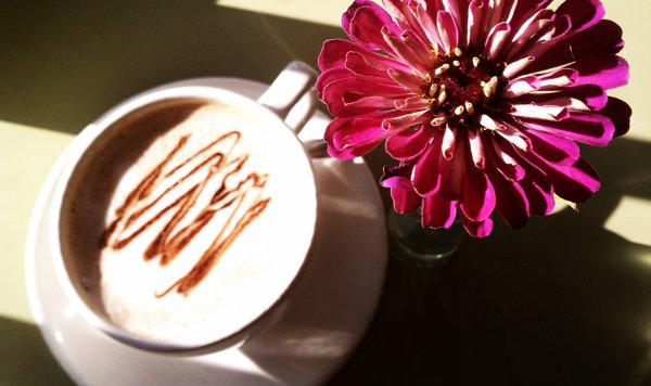 Чай с сиренью