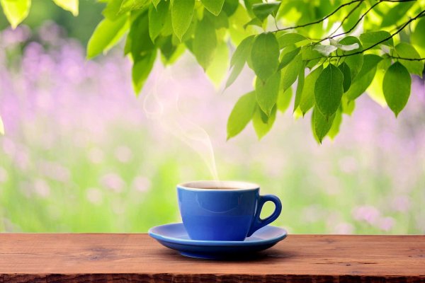 Тюльпаны и кофе