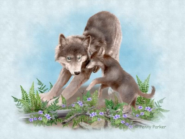 Дикие животные волк и Волчонок