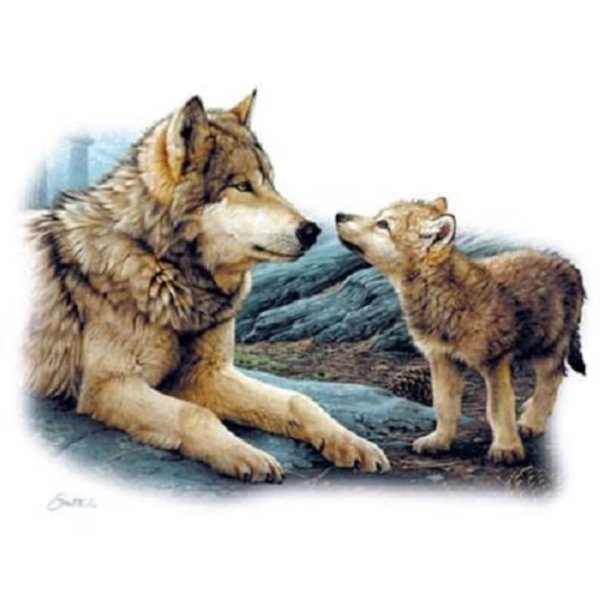 Художник .Бонни Маррис (Bonnie Marris)