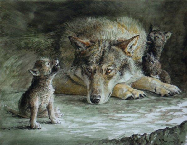 Анималист Карл Брендерс