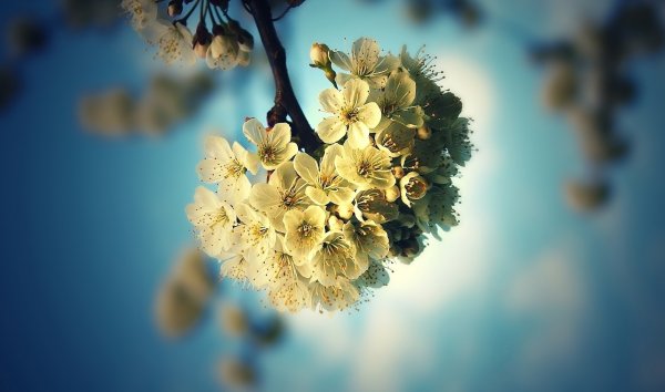 Весенняя природа