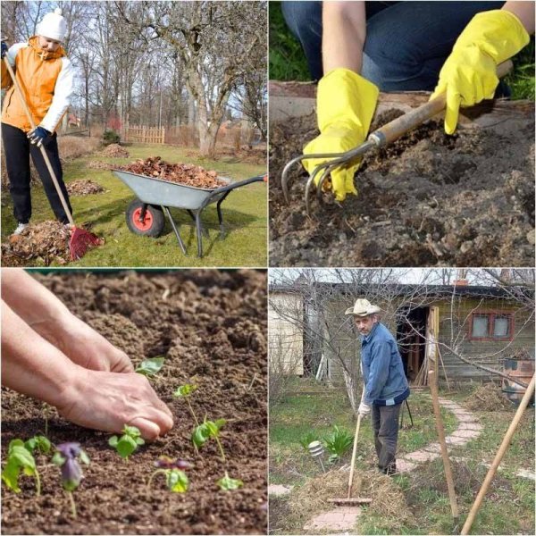 Весенние работы в саду и огороде: что делать на участке в марте, апреле, мае