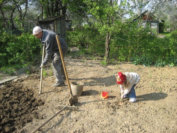 Весенний труд на огороде