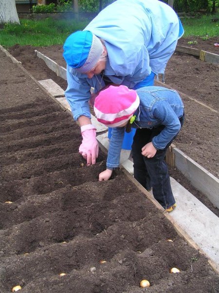 Весенин работы