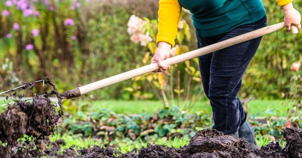 Удобрения для огорода