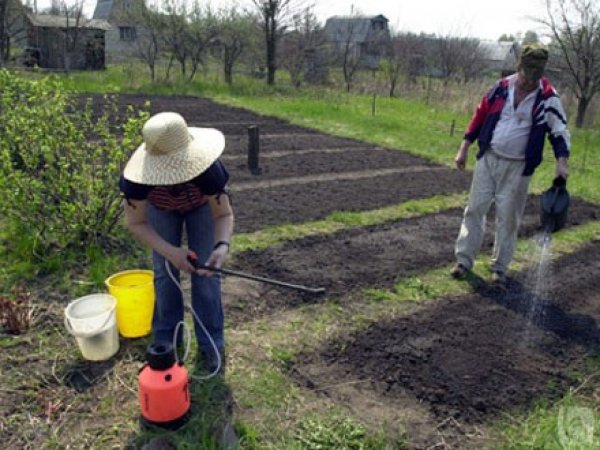 Весенние работы в огороде