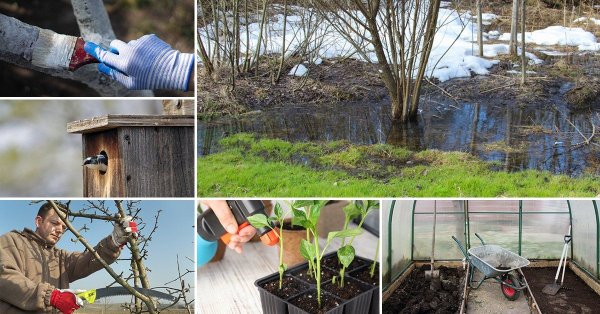 Весенние дела в саду и огороде