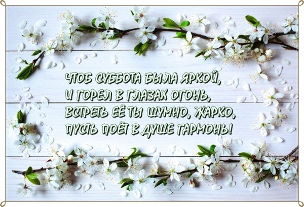 Добрый день среда Весна