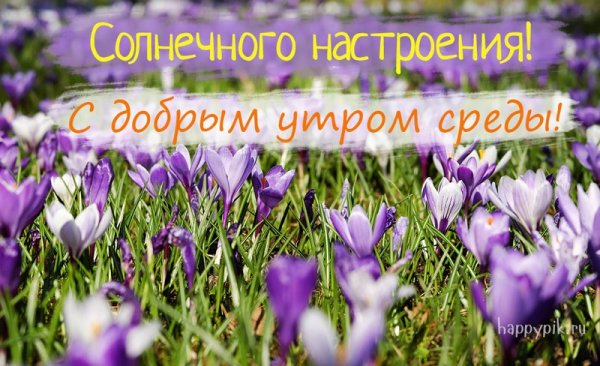 Отличной весенней среды
