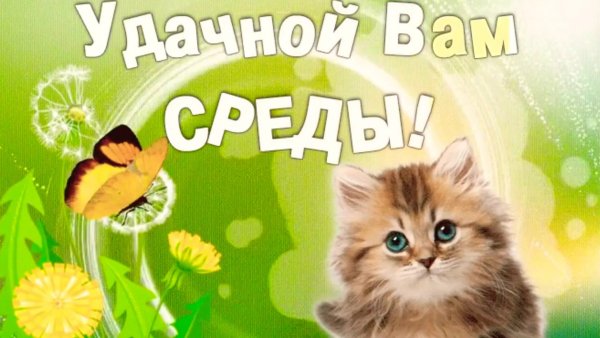 Поздравление со средой