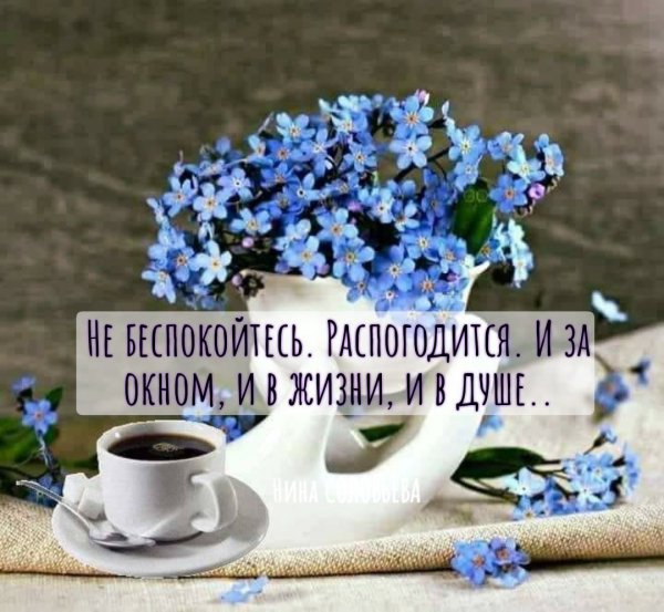 Мягкие игрушки с добрым утром
