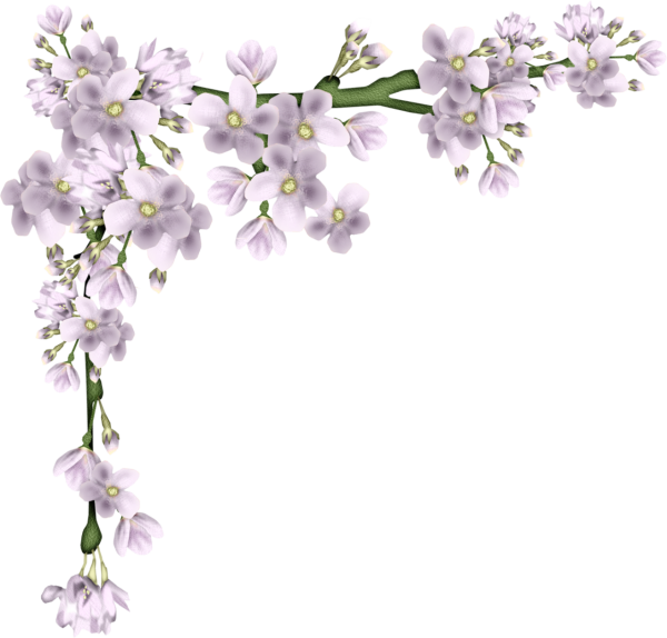 Веточка цветов на прозрачном фоне