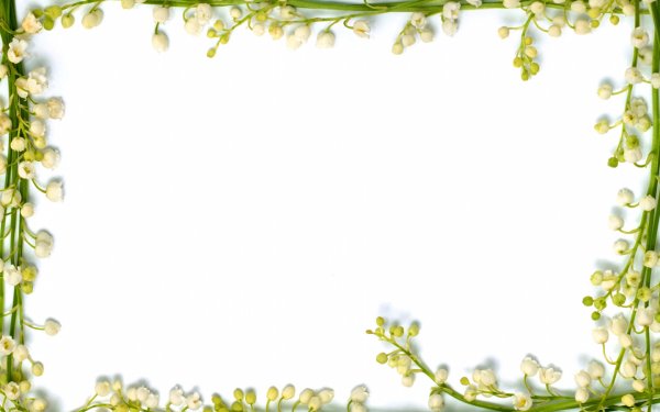 Рамка весенние цветы