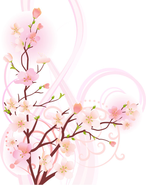 Веточка Сакуры