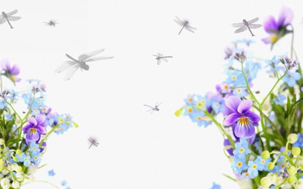 Рамка с полевыми цветами