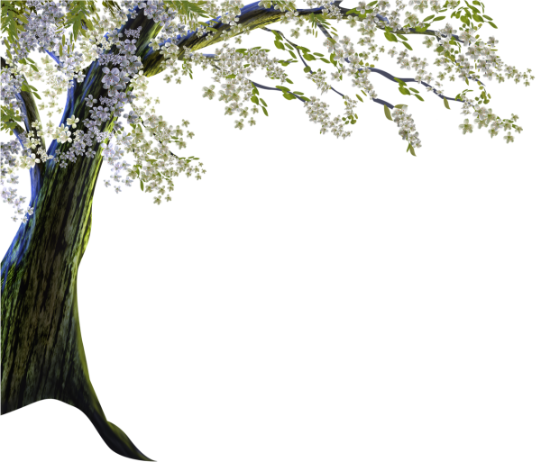 Весеннее дерево на прозрачном фоне