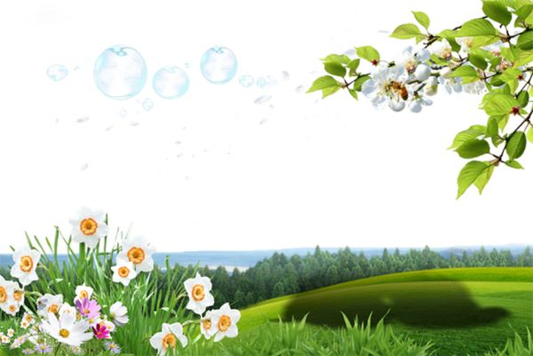 Рамка природа на прозрачном фоне