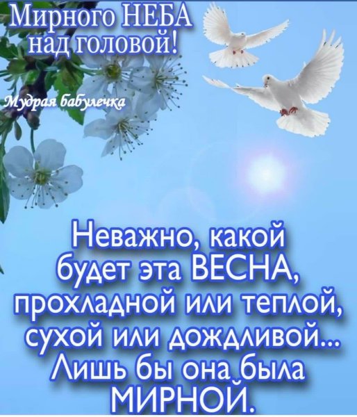 Мирного неба над головой