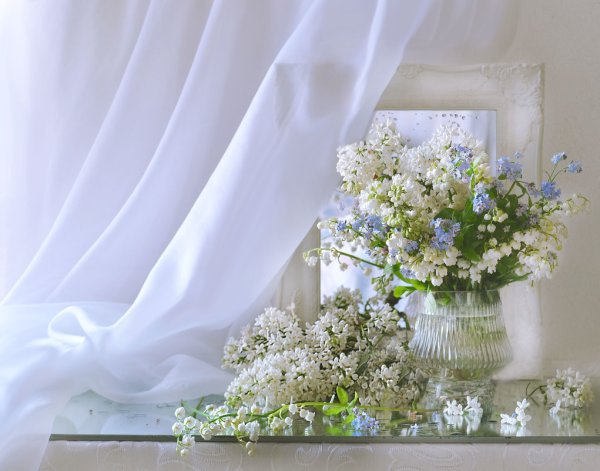 Колова Валентина фотограф