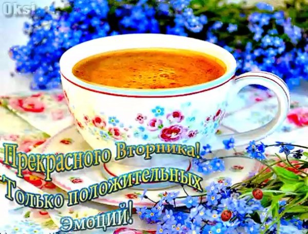 С добрым летним утром вторника