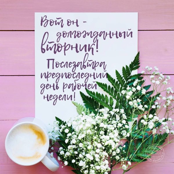 Открытки с добрым утром вторника весенние