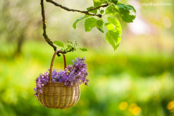 Скоро Весна