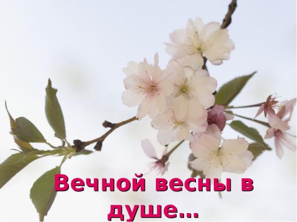 Душевного тепла и спокойствия желаю