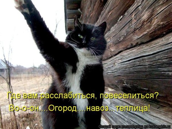 Открытка расслабься