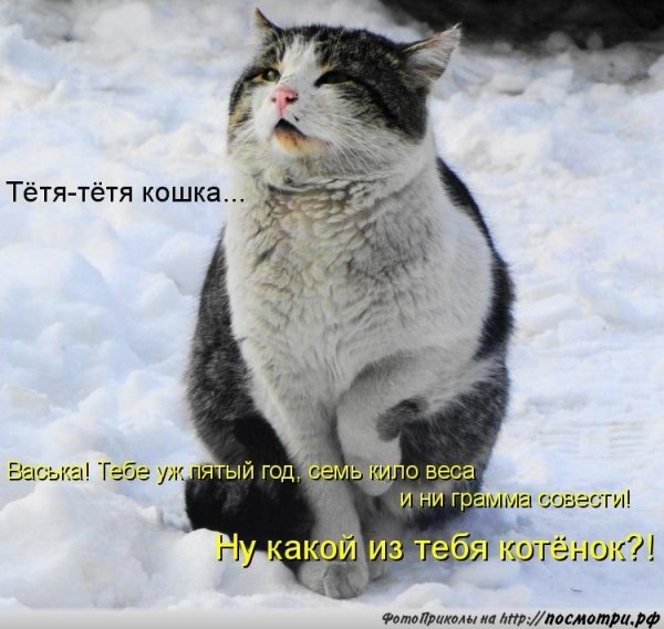 Шутки про зиму и весну