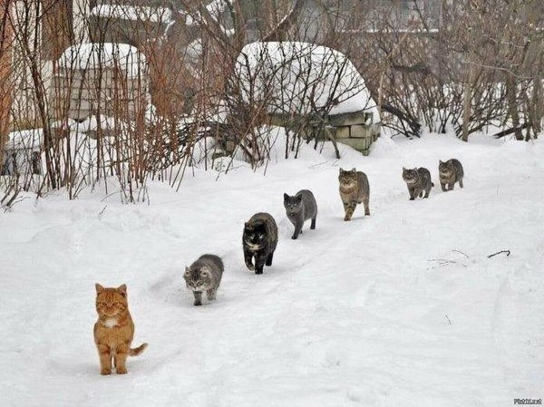 Весна уже пришла