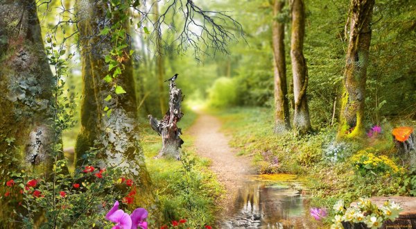 Раскраска природа для детей