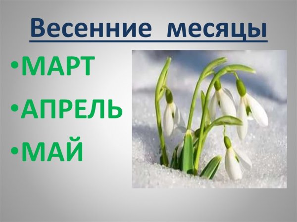 Проект Весна