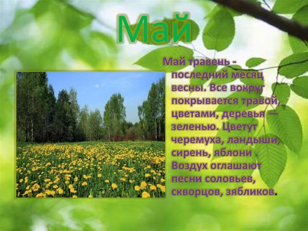 Весенние месяцы