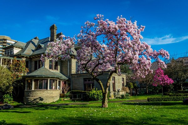 Канада Ванкувер Весна