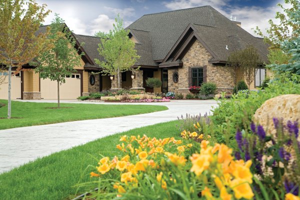 Домик с цветущим деревом