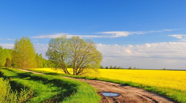 Весна в деревне
