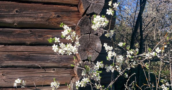 Красивые летние пейзажи