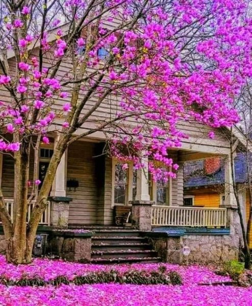 Сказочные домики графства Девоншир