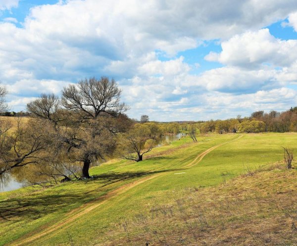 Родные просторы Пушгоры панорама