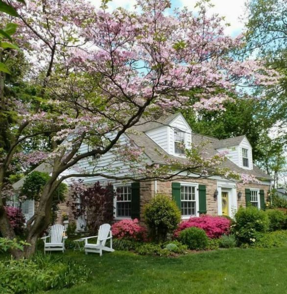 Деревенский сад