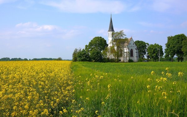 Природа летом