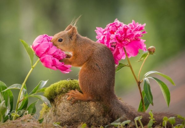 Дети радость жизни