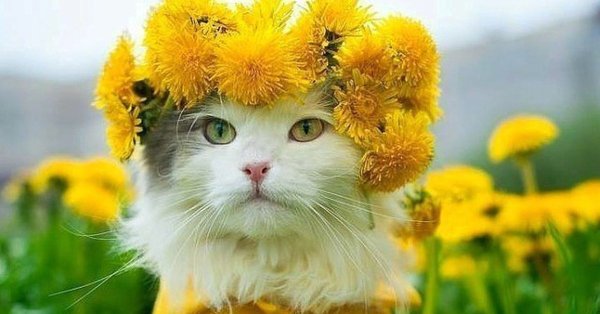 Креативная Весна