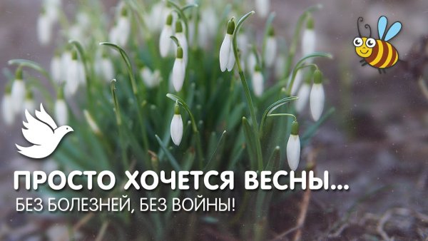 Просто хочется весны без болезней без войны