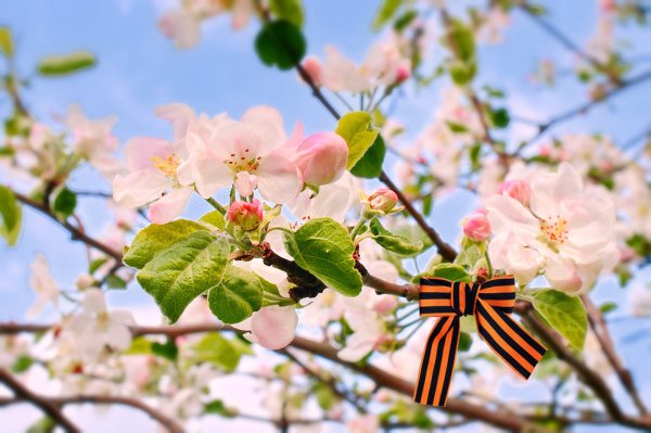 Просто хочется весны без войны