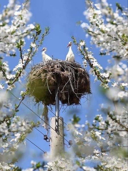 Хочется без болезней без войны