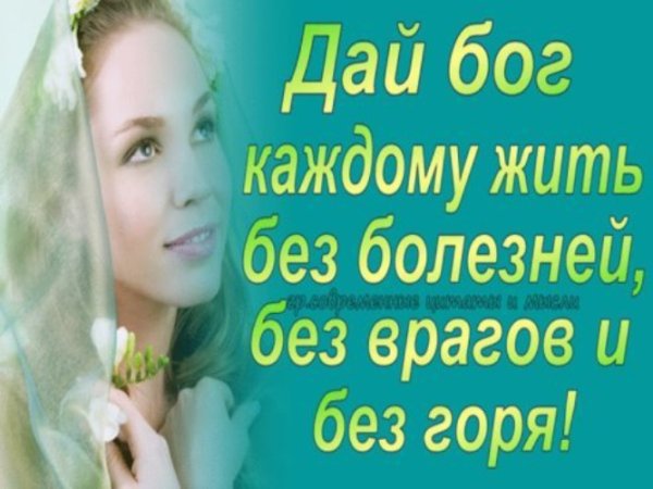 Картины коты художник Борис Касьянов