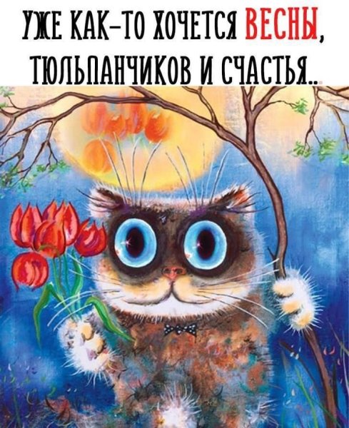 Плачу с Украиной стих