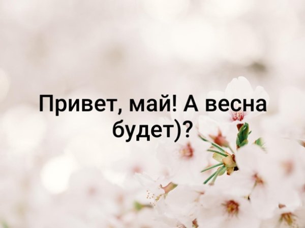 Хочется весны и тюльпанов